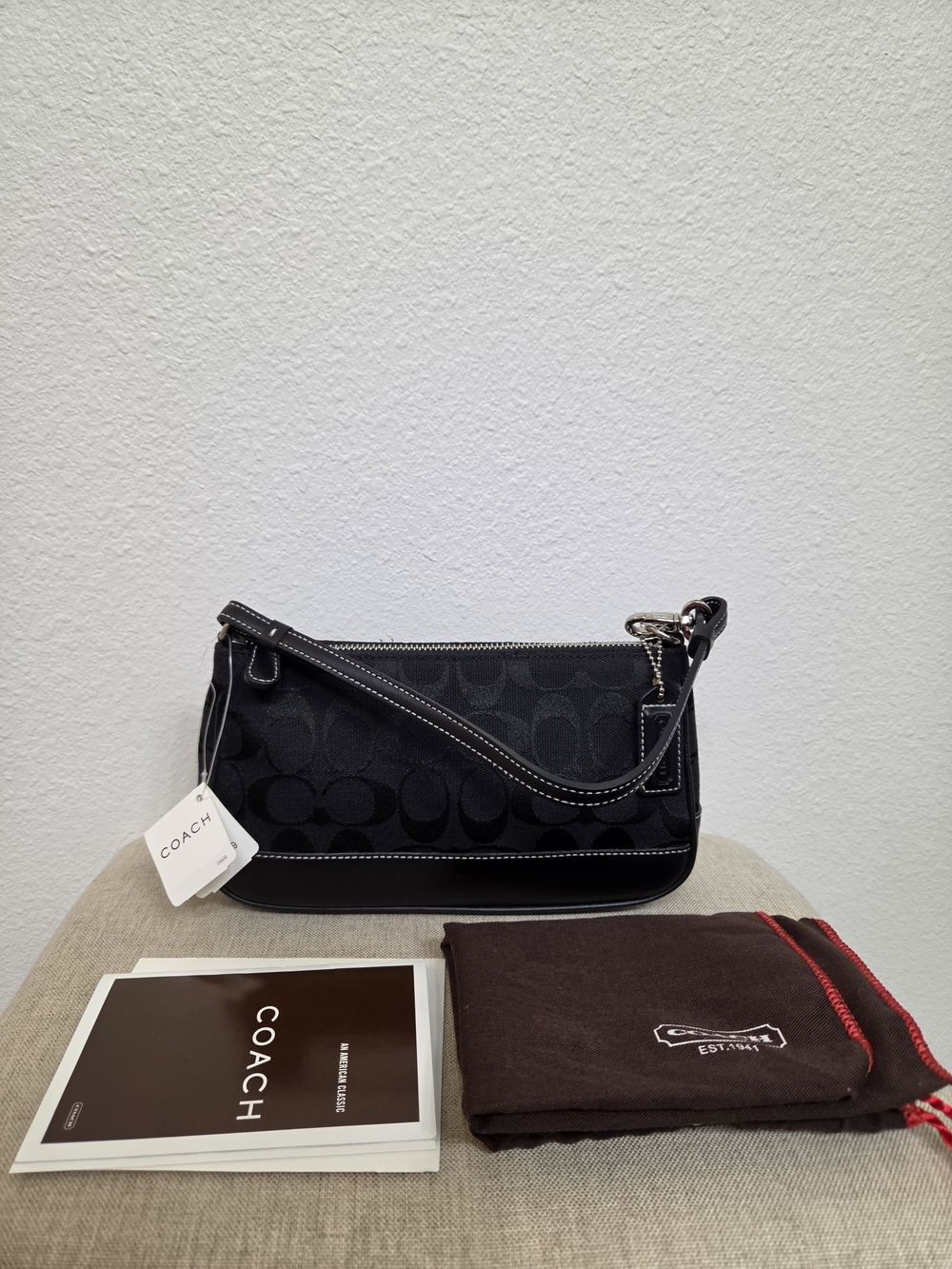 Coach Signature Demi pouch small (model 6094)